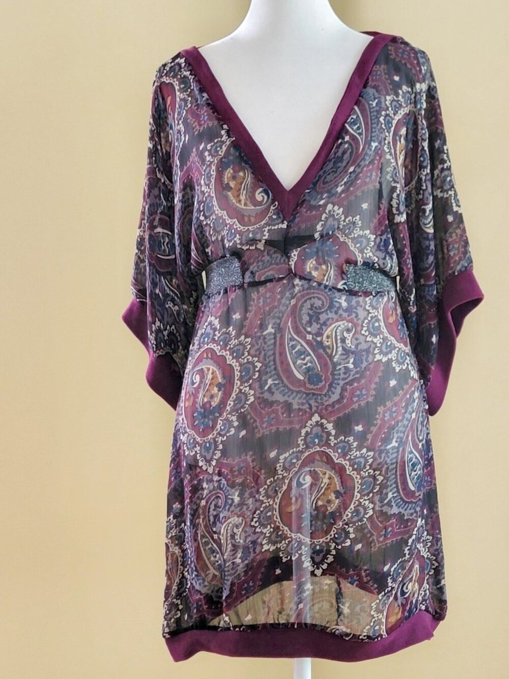 CHIC SHEER DRESS